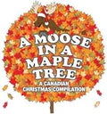 Moose in a Maple Tree: A Canadian Compilation
