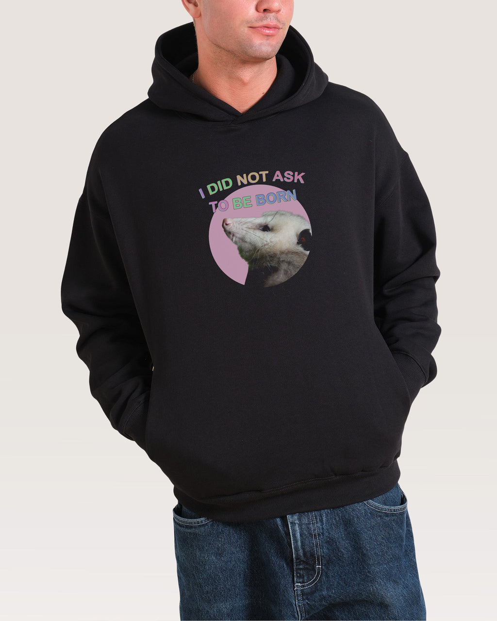 I Did Not Ask Hoodie
