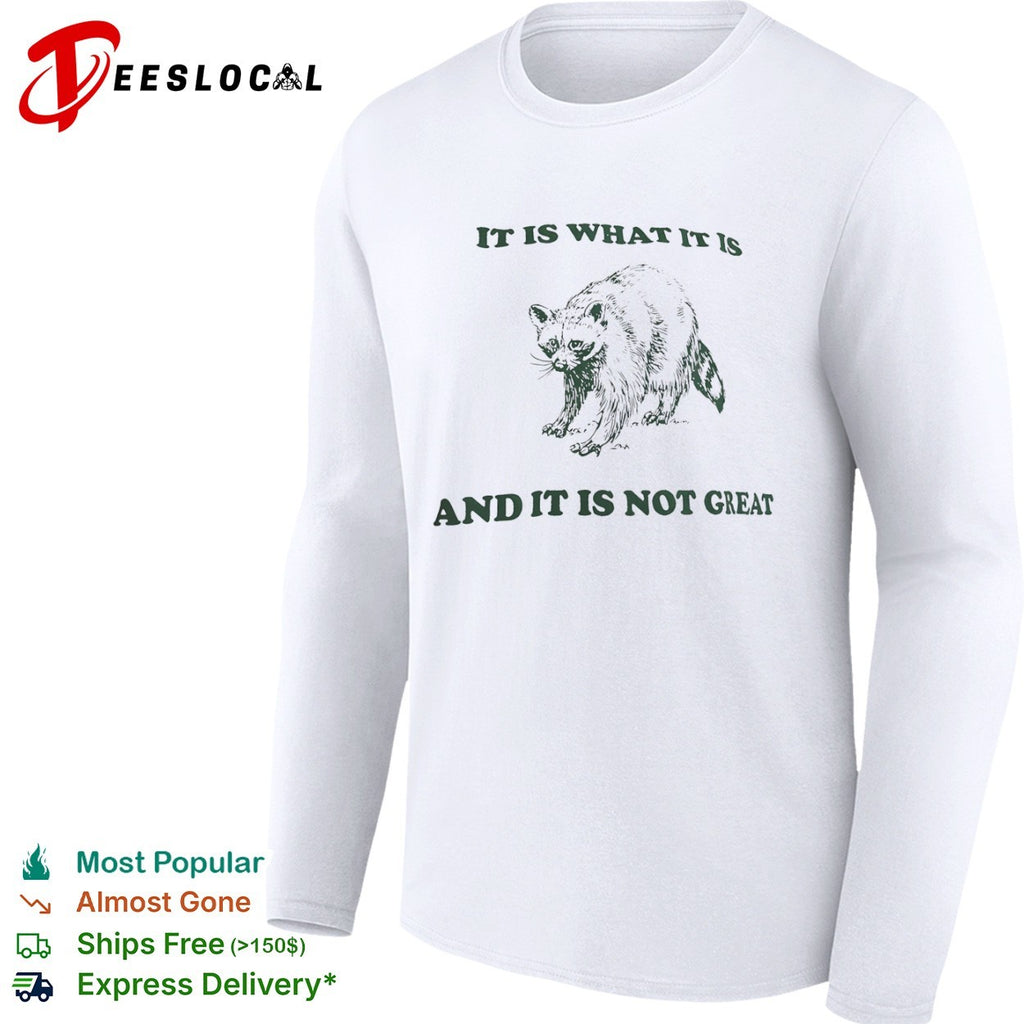 It is what it is and it is not great Raccoon shirt