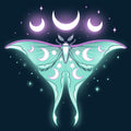 Ethereal Moth