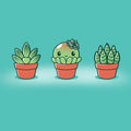Succulent Surprise