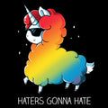 Haters Gonna Hate