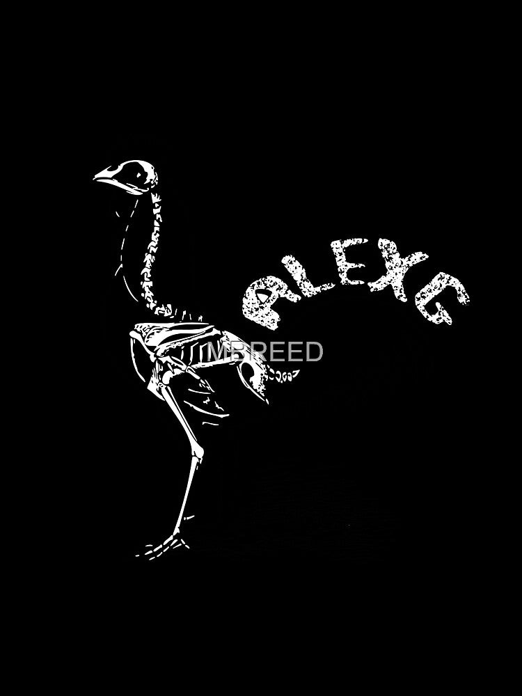 (Sandy) Alex G "Chicken" by MBREED