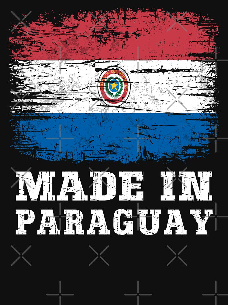 Made In Paraguay Vintage Distressed Rugged Flag by Dmetalx Art Apparel