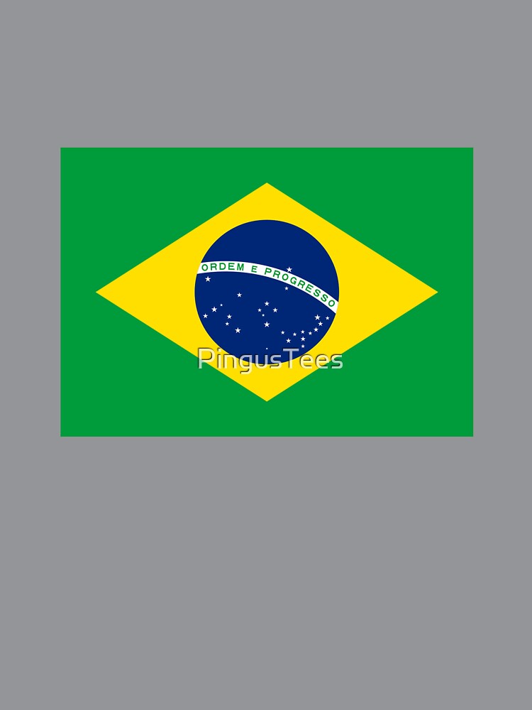 Brazil Flag by PingusTees