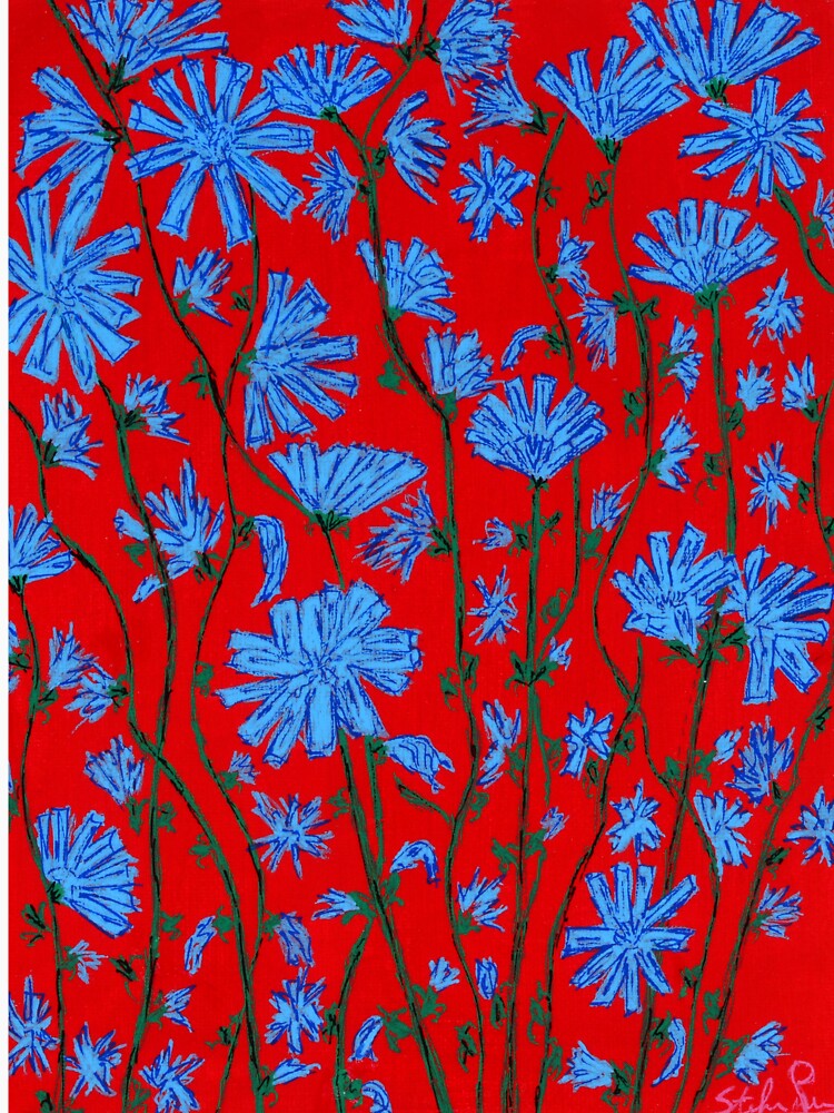 fiori di cicoria by stefaninoart