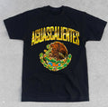 Mexico AGUASCALIENTES State Shirt. Mexican Flag Eagle Soccer Futbol City NEW!