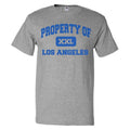 Property of Los Angeles T shirt Funny Tee